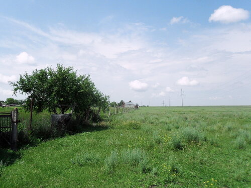 Начало лета, хутор Новонекрасовский, июнь 2012