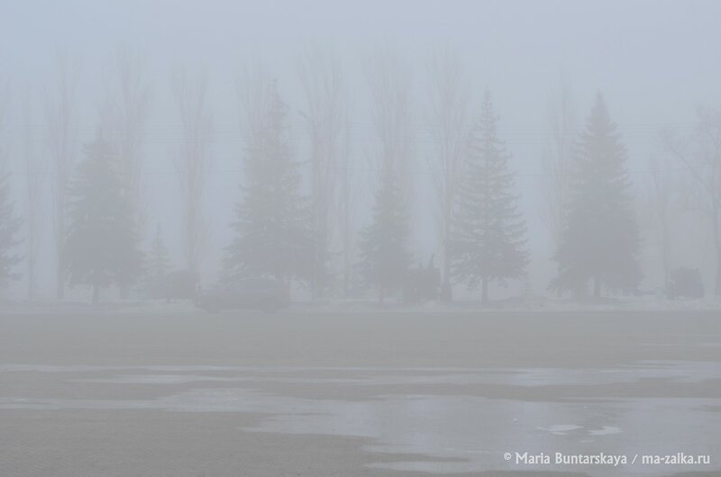 Туманное утро, Саратов, 12 марта 2015 года