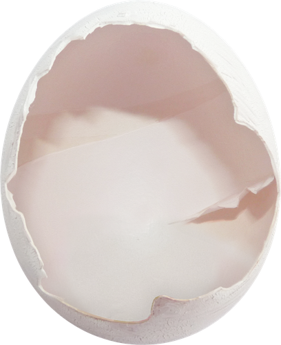 NLD Egg Empty.png