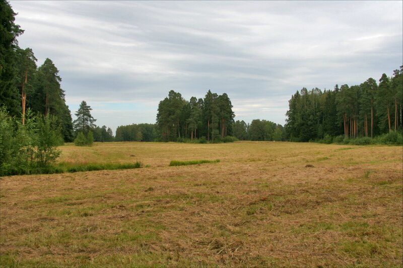 Павловский парк, "Самое красивое место"