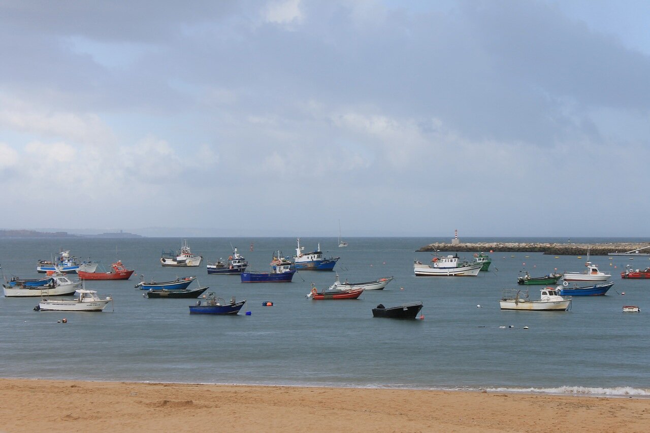 The Bay Of Cascais. Fishing boat