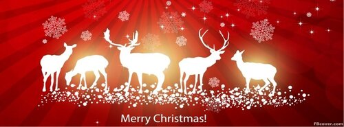 Coloré de carte postale, avec le souhait de «joyeux noël» - Gratuites de belles animations des cartes postales avec mes vœux de joyeux Noël
