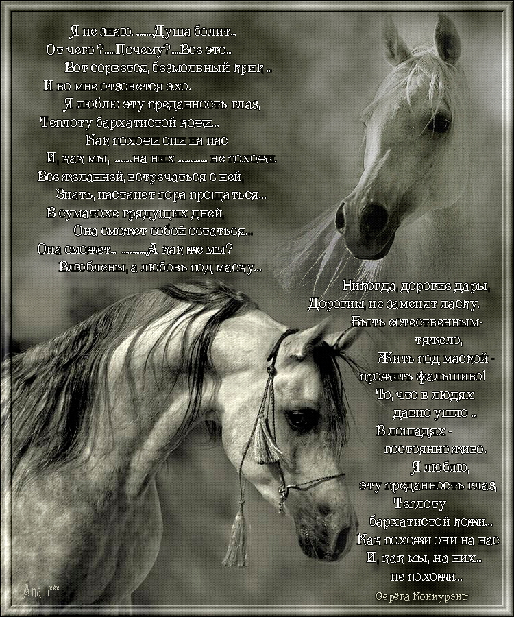 Купи коня стихотворение