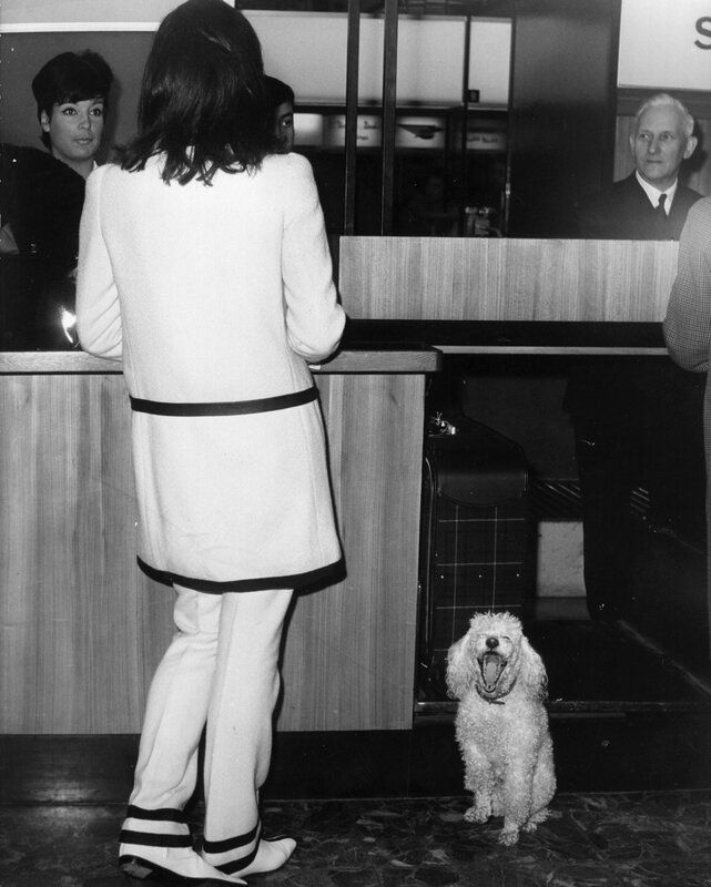 Diana Rigg And Dog