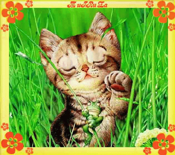 День кошек открытки. Поздравление с днем кошек. Всемирный день кошек открытки. С днем кошек открытки красивые.
