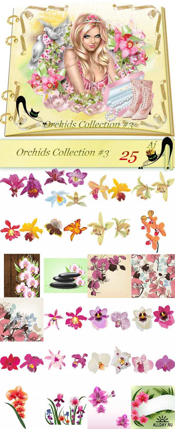 Цветы Орхидеи - Векторный клипарт