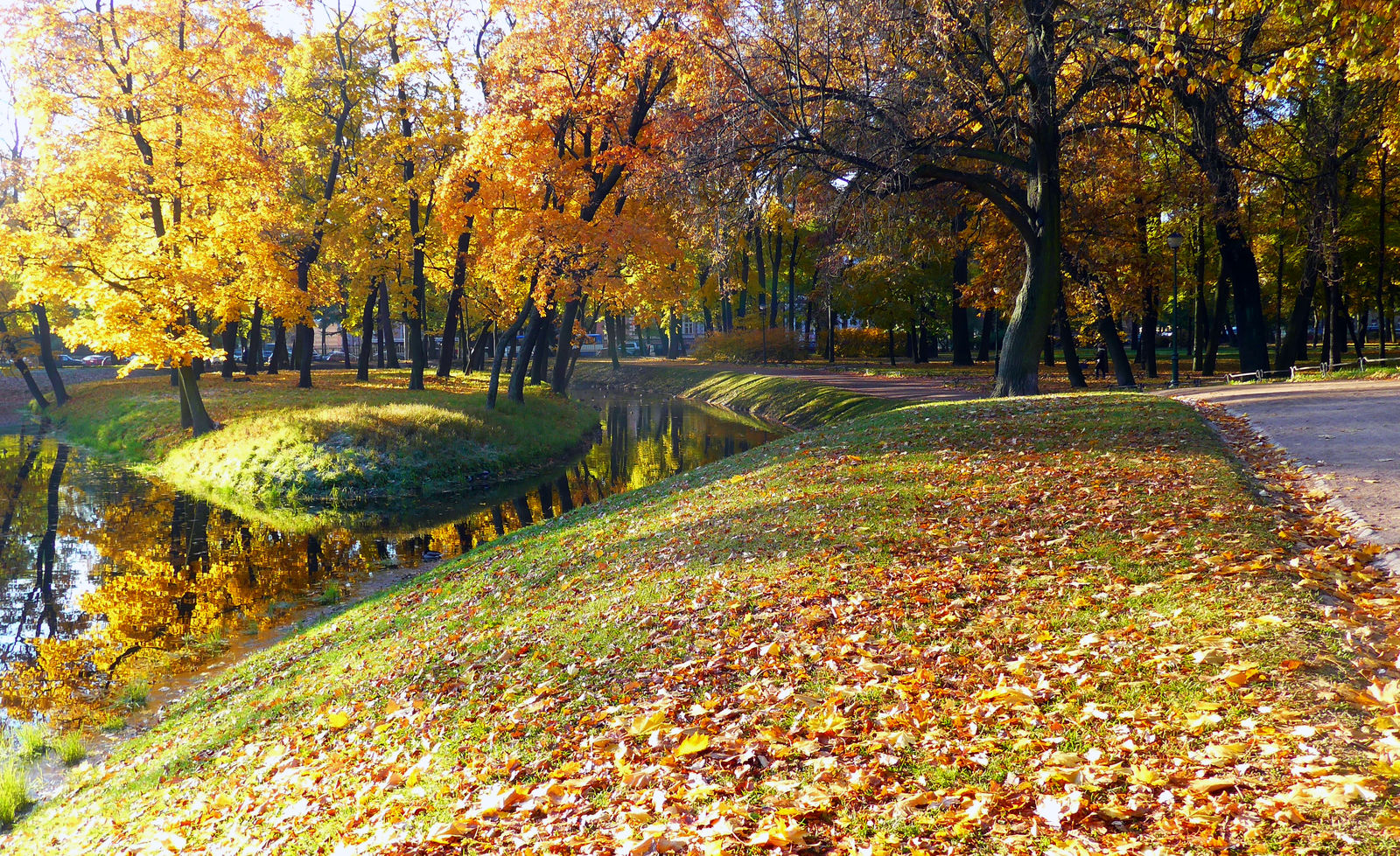 Таврический сад, Петербург, Октябрь 2015