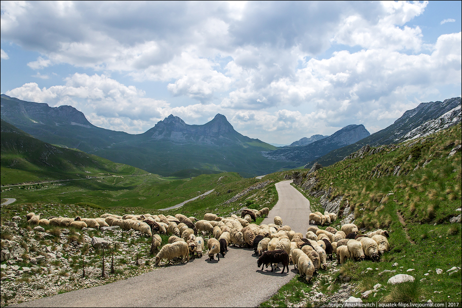 Парк Дурмитор, Черногория