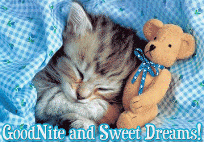 Добрых снов! Прекрасных мечтаний