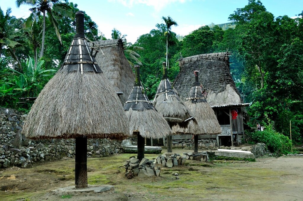 Традиционные деревни нгада