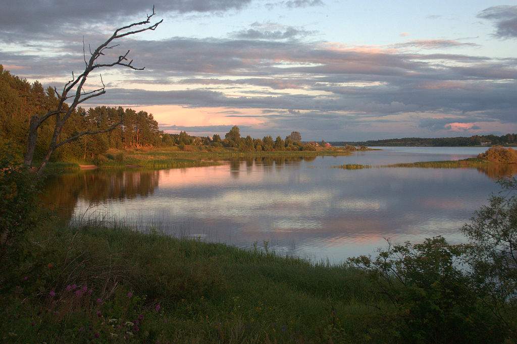 Озеро Боровское в Новгородской области