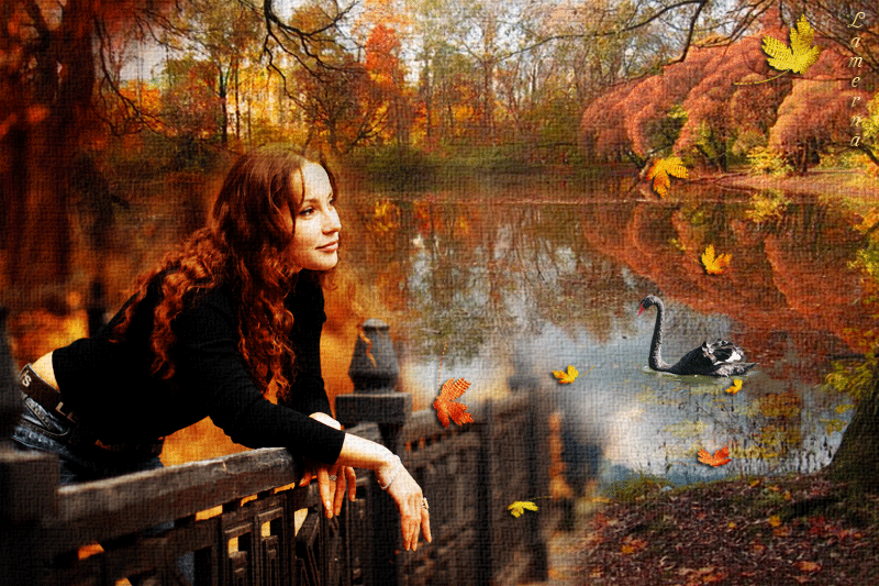 Парке пахнет хвойной тишиной. Осенние фото. Осенняя грусть. Гифы осень. Слезы осени.