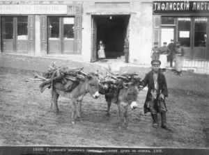  Грузинский мальчик с ослами, перевозящими вязанки дров