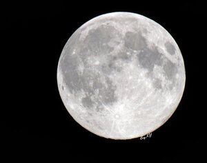 Итог: кроп. Так выглядела Луна в суперлуние 10.08.2014 в 23:30 (16:30 UTC+7) в Омске.