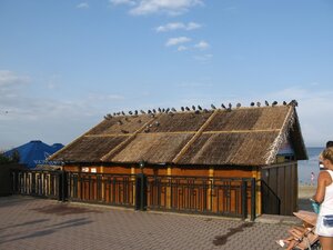 Голуби на крыше на набережной в Феодосии