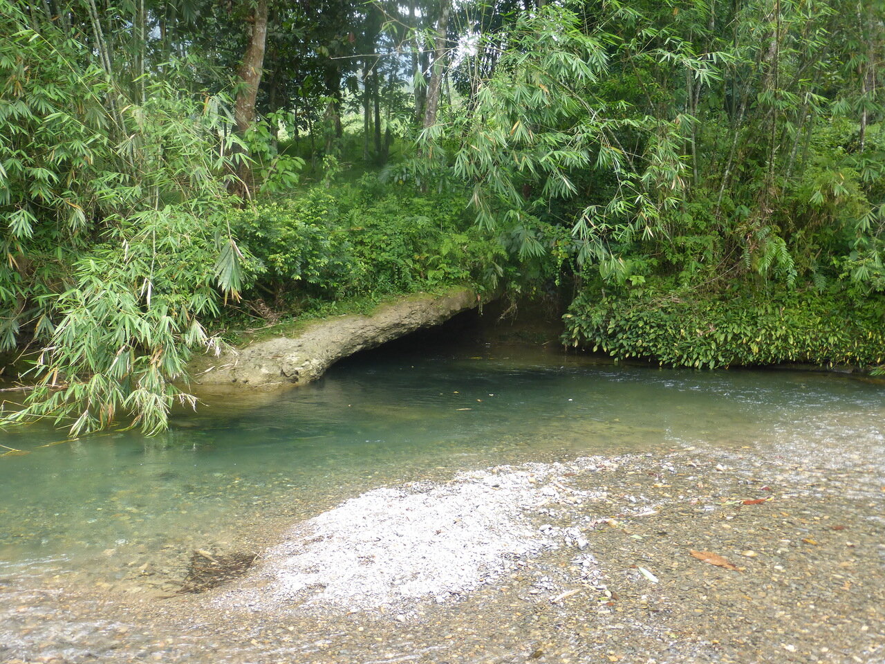 Landak River