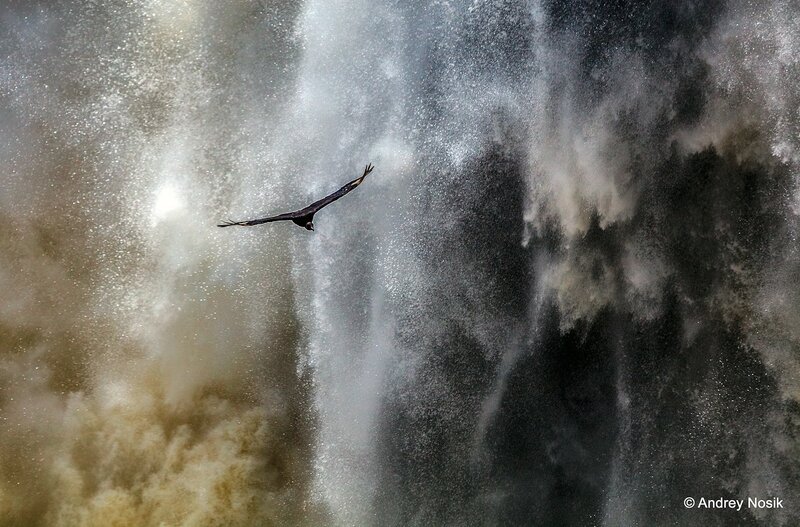 Игуасу - самый полноводный водопад в мире!