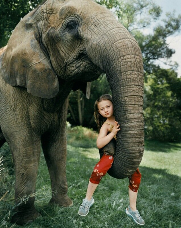 Фотографии девочки Амелии с дикими животными