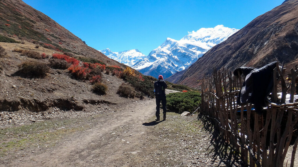 Непал: Вокруг Аннапурны. Испытание высотой. (Октябрь 2015)