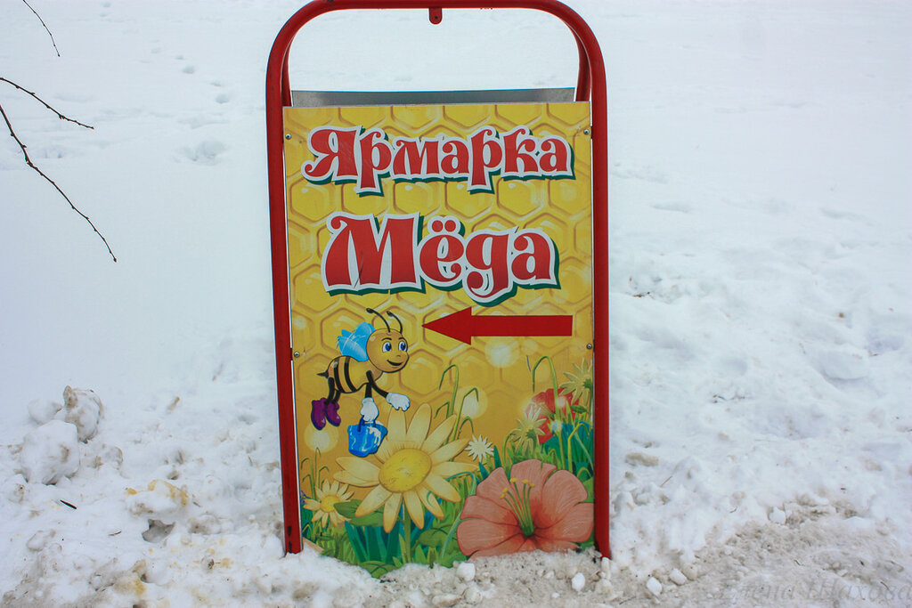 Зима в Коломенском-42.jpg