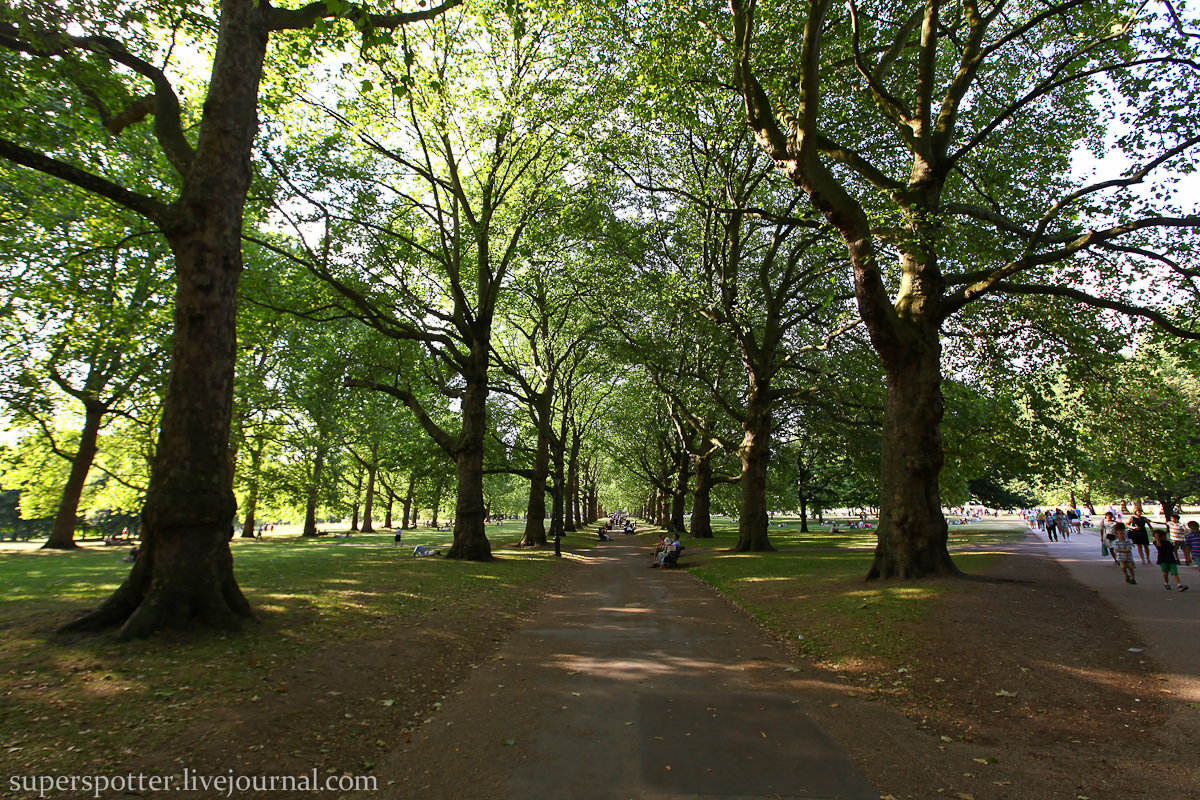 Лондон грин. Грин парк Лондон. Грин парк Лондон территория. Green Park London сейчас. Green Park London 2022.