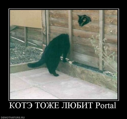 235023_kote-tozhe-lyubit-portal.jpg