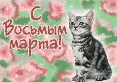 Восхитительная картинка с котиками на Международный женский день. Красивые поздравительные открытки с кошечками для праздника 8 марта 2024
