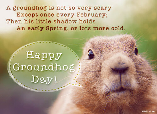 Happy Groundhog Day Card - The most beautiful and colorful cards with Groundhog day on 2 February 2024
