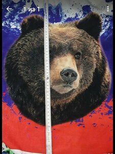 Кулирка с лайкрой "Медведь на триколоре" Купон 85 см качество пенье ширина  180 плотность 180 Цена 450 руб