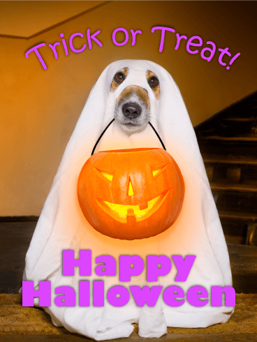 Joyeux Halloween Les Souhaits De L'Image - Gratuites, de jolies cartes postales vivantes
