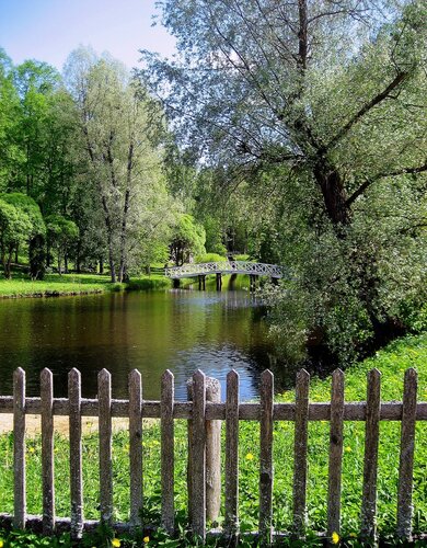 В парке Михайловского