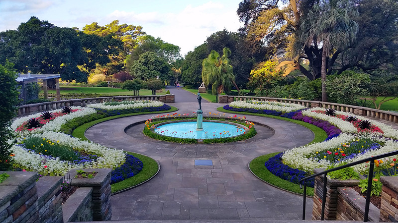 Королевский Ботанический Сад Сиднея