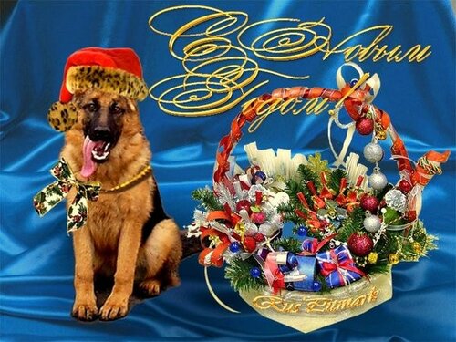 Красочная открытка с Новым годом собаки 2024 своими руками - Бесплатные, красивые живые новогодние открытки в год собаки
