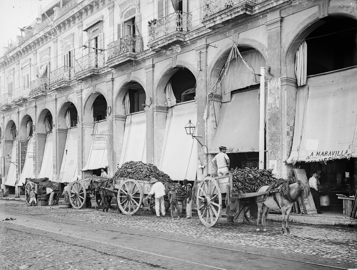 Торговцы фруктами у рынка, 1890.