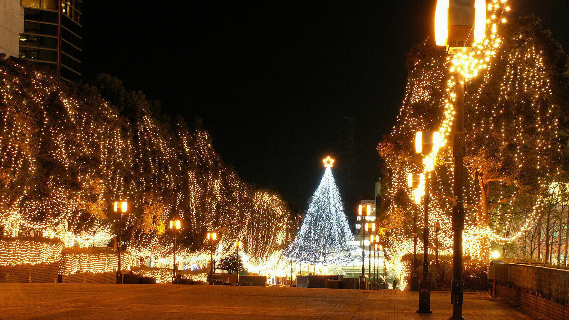 Абхазия новогодние каникулы 2022
