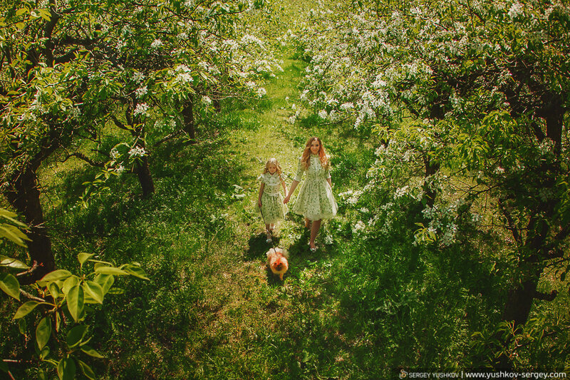 Мама и дочь в одинаковых платьях в цветущем саду
