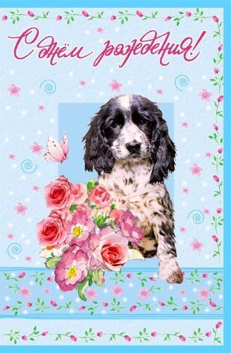 Поздравительная картинка с Днём рождения с собаками онлайн. Бесплатные живые открытки 2023
