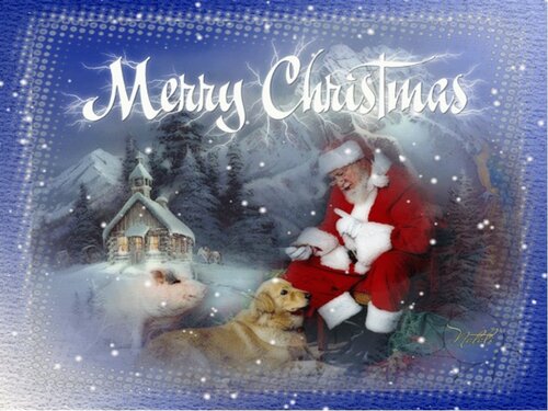 Excelente el deseo de una feliz navidad - Gratis de hermosas animadas tarjetas postales con el deseo feliz navidad
