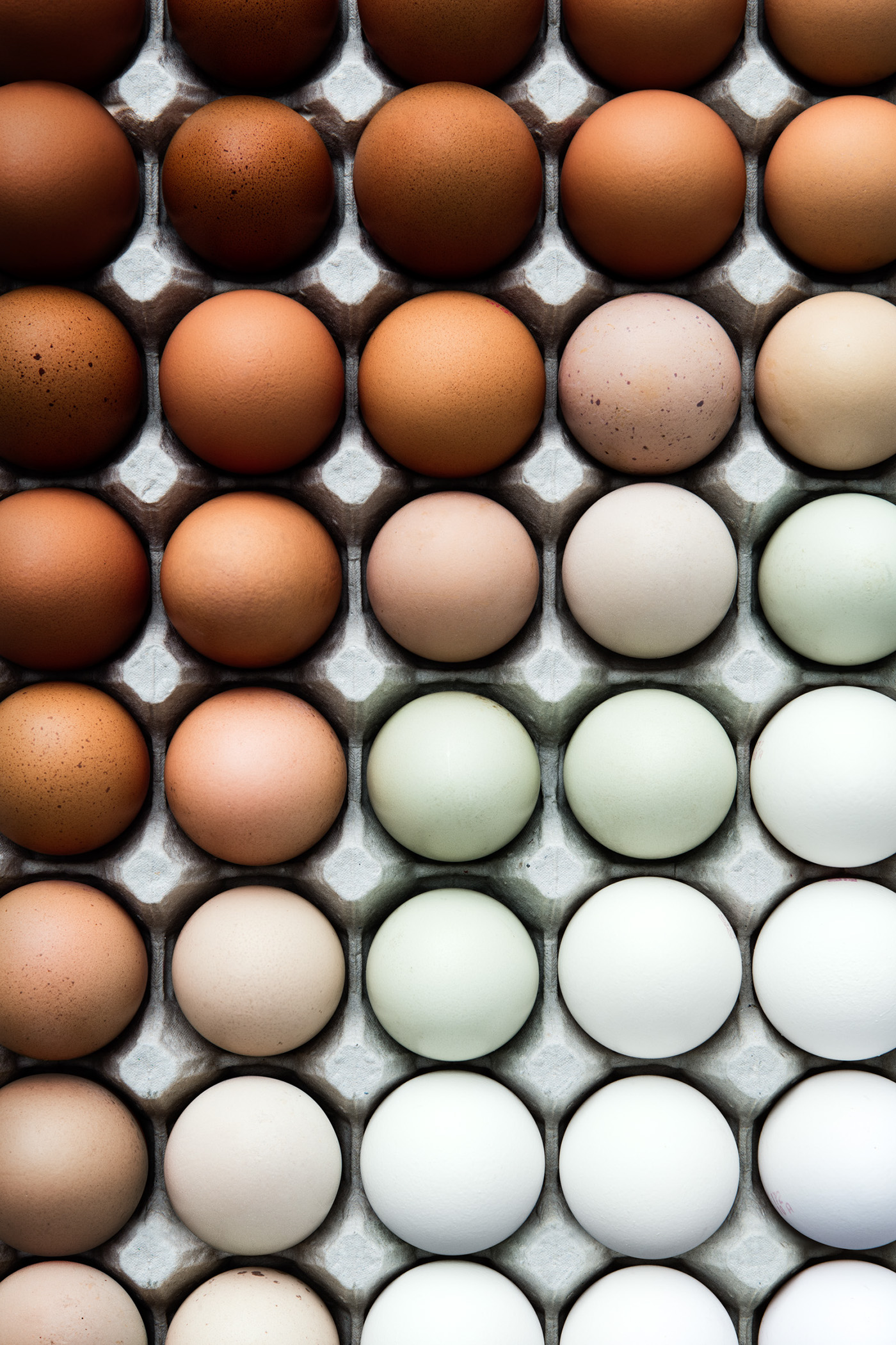 Яйца / фото Virginie Gosselin