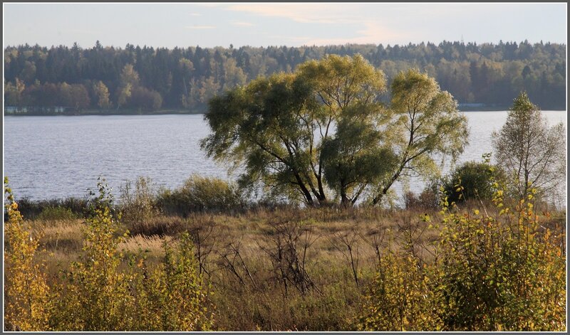 Круглое Озеро Фото Московская Область