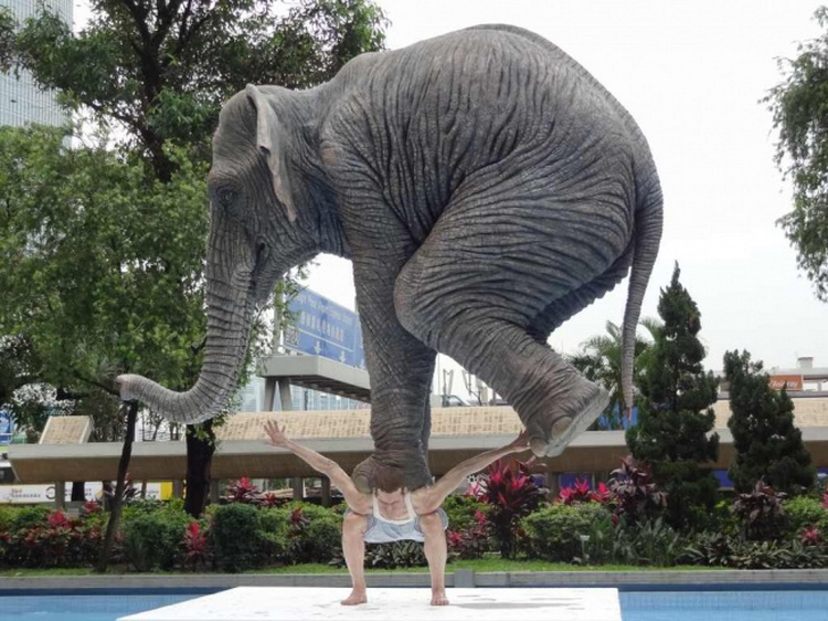 Самый тяжелый слон. Скульптура слона. Необычное искусство. Гигантские скульптуры. Странные фигуры.