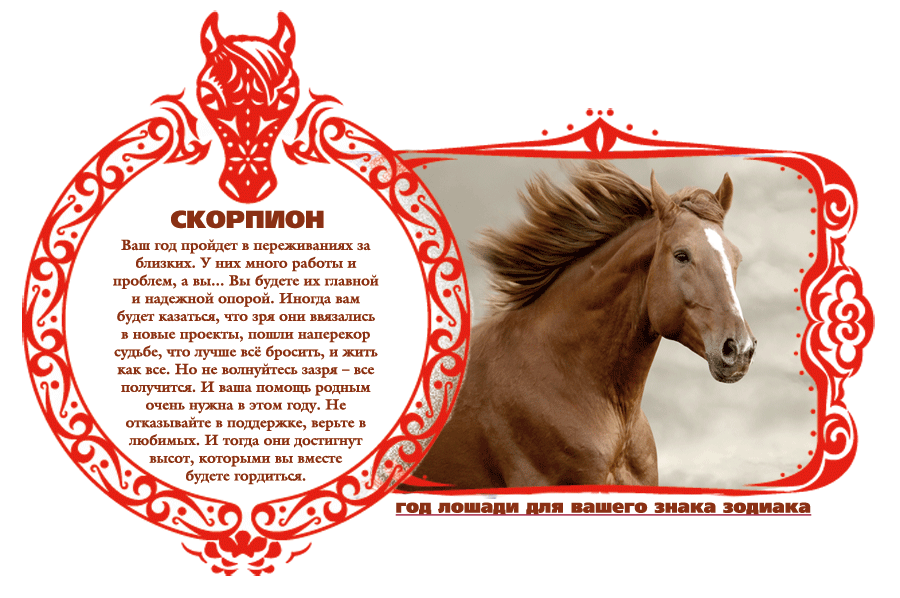 Гороскоп лошадь мужчина на сегодня. Лошадь знак года. Год лошади гороскоп. Лошадь по знаку зодиака. Год лошади характеристика.