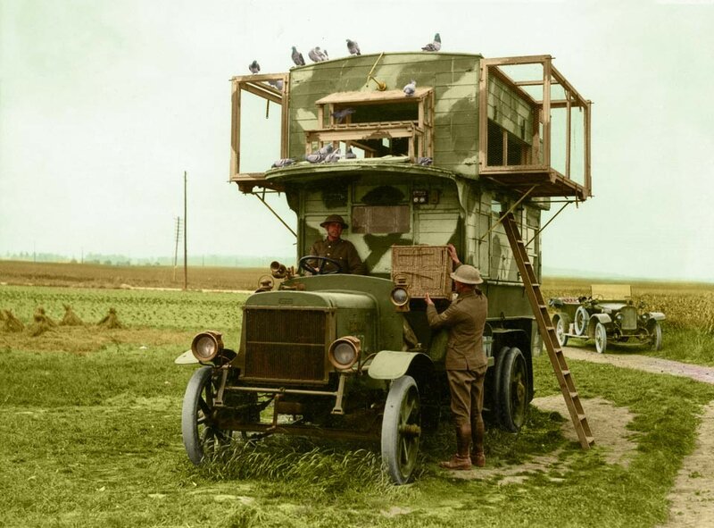 wwi-mobile-carrier-pigeon-loft.jpg