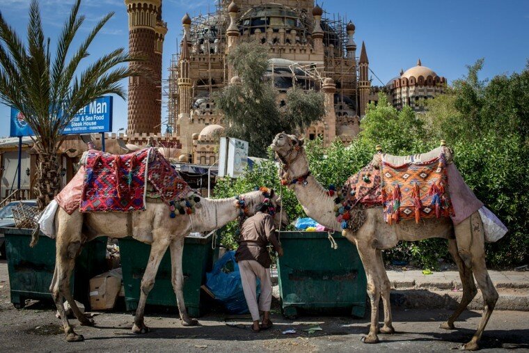Шарм эль Шейх: курортный город в Египте превратился в город призрак