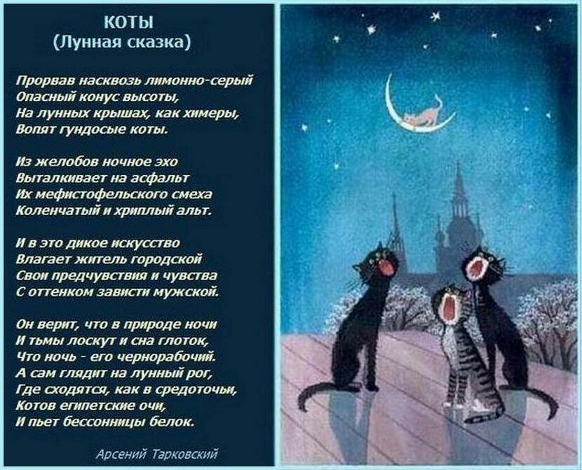 Впр русский чудесны лунные мартовские ночи