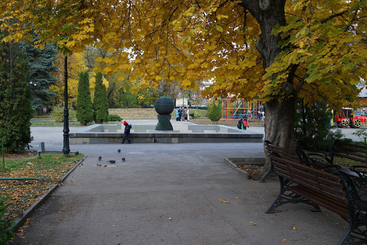 Парк липки в саратове