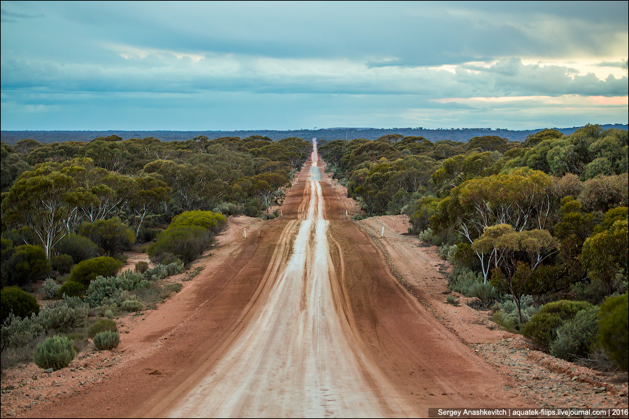 В изоляции австралия. Великая Океанская дорога Австралия. Шоссе Эйр Австралия. Дорога Брюс Хайуэй Австралия категория. Прямая трасса в Австралии шоссе Эйр.