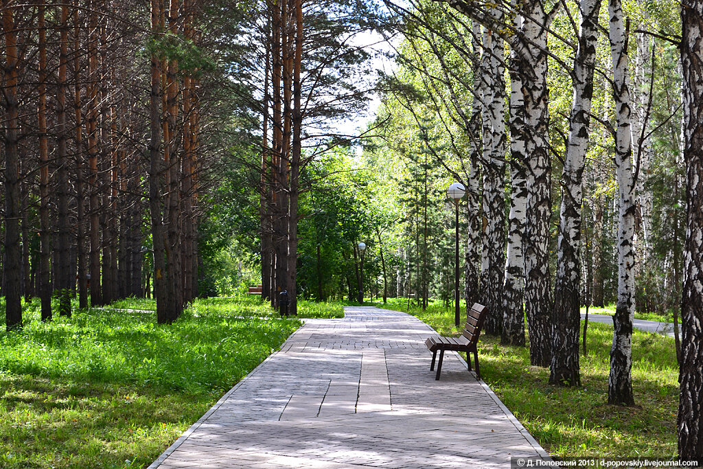 Екатеринбург сколько парков. Мир парка Новосибирск. Академгородок Новосибирск Заельцовский парк.