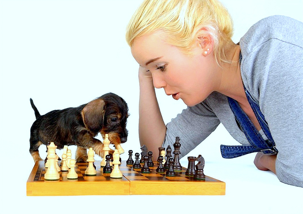 Тема шахматная