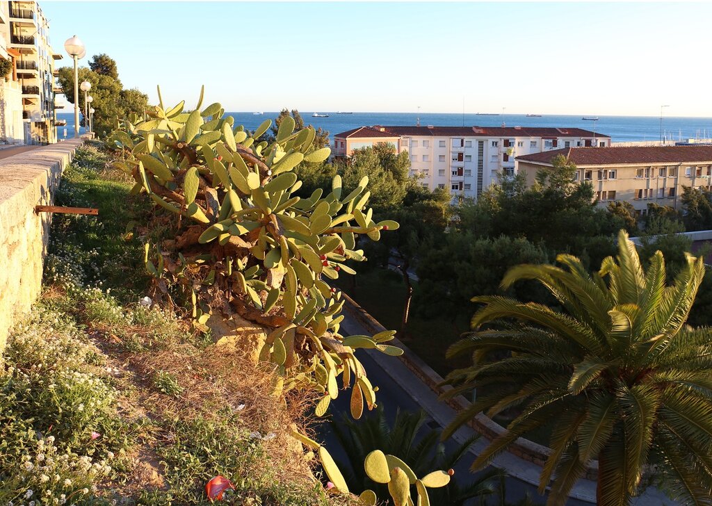 Tarragona. Lower city